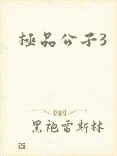 极品公子3
