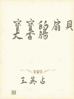 宝宝的扇贝想吃大香肠封面