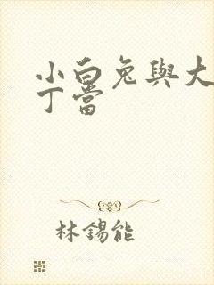 小白兔与大灰狼丁当