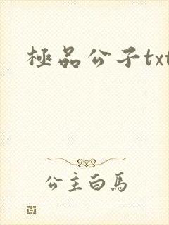 极品公子txt