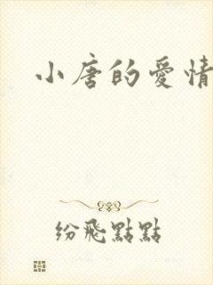 小唐的爱情史封面