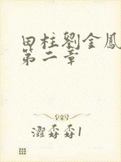田柱刘金凤小说第二章封面