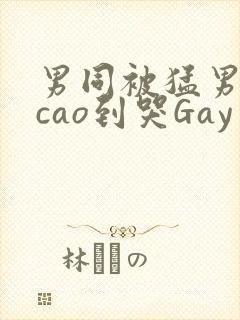 男同被猛男房东cao到哭Gay