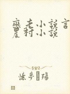 恋老小说言情网农村小说