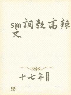 sm调教高辣h文