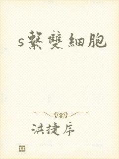 s系双细胞