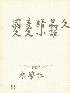 国产精品久久久久久小说