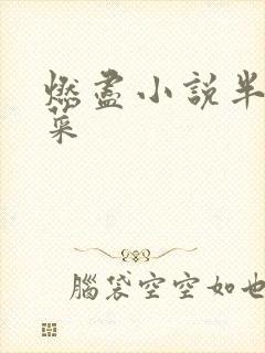 燃尽小说半截白菜