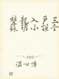 双龙入户三人行苏玥小说全文阅读