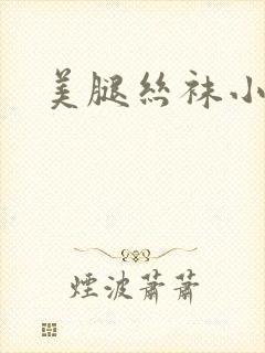 美腿丝袜小说