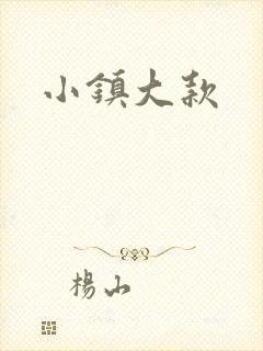 小镇大款封面