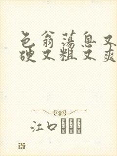 色翁荡息又大又硬又粗又爽小莹