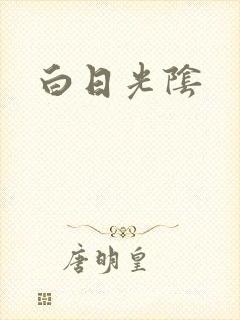 白日光阴