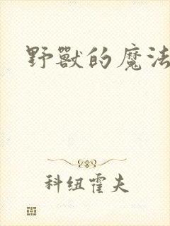 野兽的魔法师