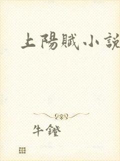 上阳赋小说