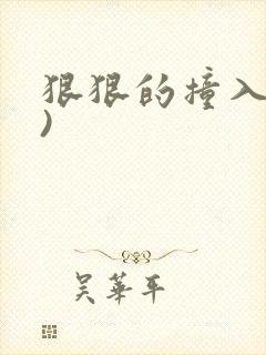 狠狠的撞入(h)