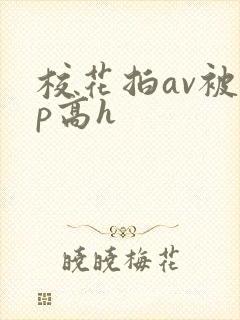 校花拍av被np高h