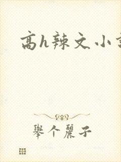 高h辣文小说