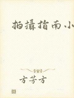 拍摄指南小说