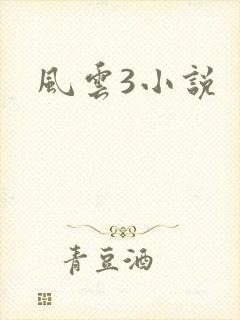 风云3小说
