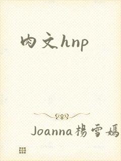 肉文hnp