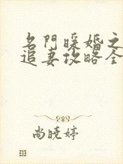 名门暖婚之权爷追妻攻略全文免费阅读封面