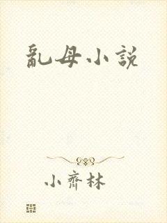 乱母小说