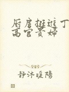 厨房挺进丁字裤高官贵妇
