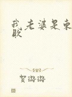 我老婆是东方不败