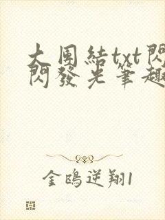 大团结txt闪闪发光笔趣阁