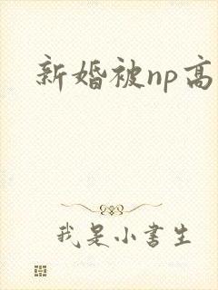 新婚被np高h