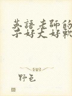英语老师的小兔子好大好软水