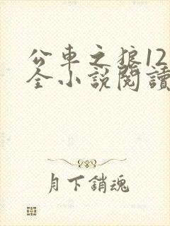 公车之狼12集全小说阅读