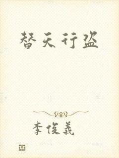 替天行盗