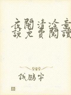 夜阑清冷意欢小说免费阅读
