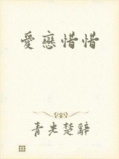 爱恋惜惜