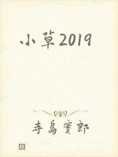 小草2019封面
