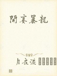 开赛暴龙