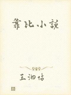 靠比小说