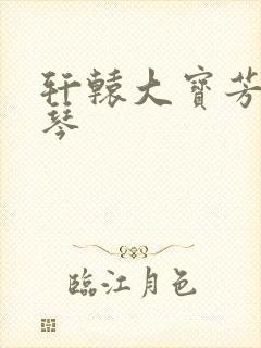 轩辕大宝芳菲雅琴