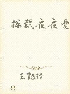 总裁夜夜爱