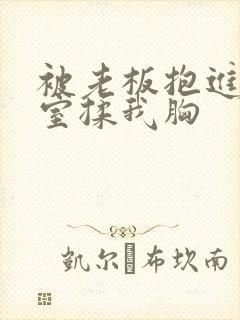 被老板抱进办公室揉我胸封面