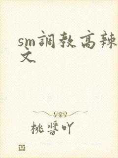 sm调教高辣h文