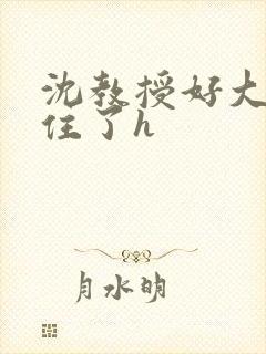 沈教授好大含不住了h