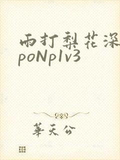 雨打梨花深闭门poNp1v3封面