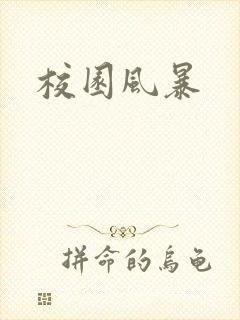 校园风暴