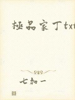 极品家丁txt