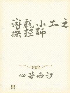 游戏小工之元素操控师封面