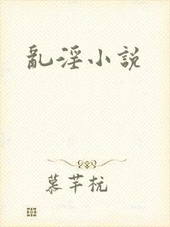 乱淫小说封面