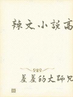辣文小说高h